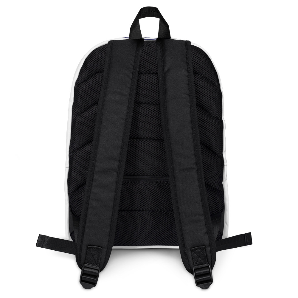 Black backpack with mesh backing.