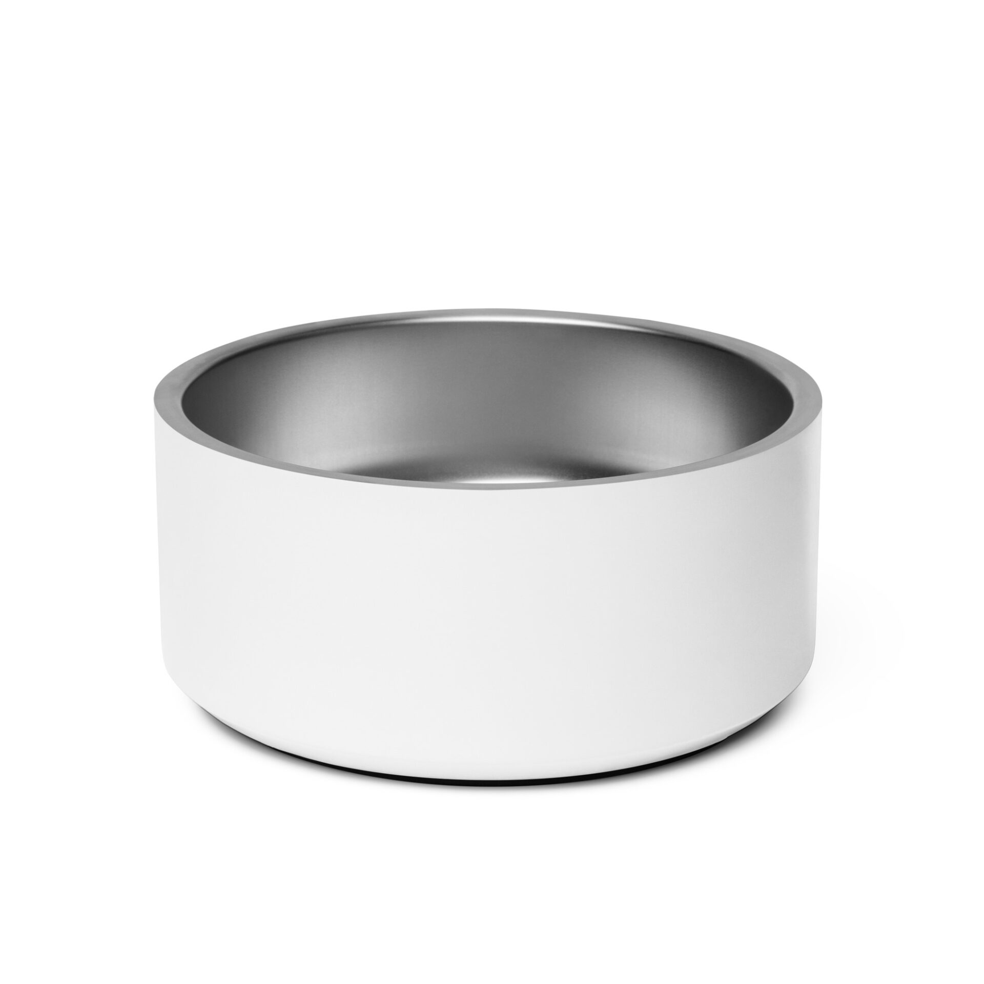White ceramic pet bowl with a silver rim.